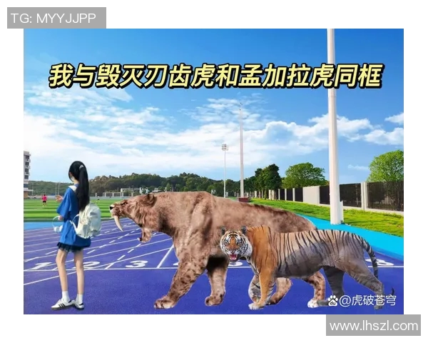 兵工厂与老虎竞赛的背后故事与启示探讨